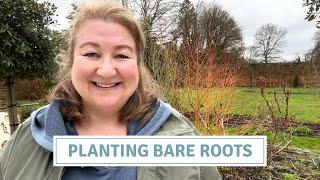 Planting Bare Roots & Plug Plants  Cottoverdi