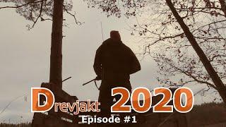 Jaktbloggen Drevjakt 2020 #1