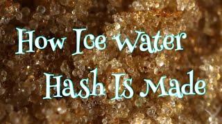 How Ice Water Hash Is Made