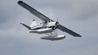 Seaplanes and Orcas  Ganges Harbour Saltspring Island BC Canada