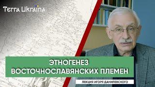 TU Игорь Данилевский. Этногенез восточнославянских племен.