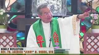 𝗘𝗠𝗕𝗥𝗔𝗖𝗘 𝗣𝗔𝗜𝗡 𝗮𝗻𝗱 𝗚𝗥𝗢𝗪 𝗨𝗣  Homily 23 June 2024  with Fr. Jerry Orbos SVD  12th Sunday