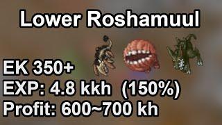 Lower Roshamuul - Hunt EK 350+ solo Exp 4.8kkh 150% Profit 600700 kh