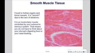 Cell Structures