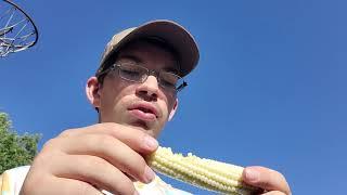 eating raw corn