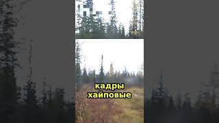 Кадры хайповые  Перевернул.