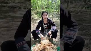 旅游到 老挝边境的  大山里 遇到了一位 漂亮的小姑娘  #西双版纳 #中缅边境#六国交界#老挝山#记录真实生活 #乡村守护人 #我的乡村生