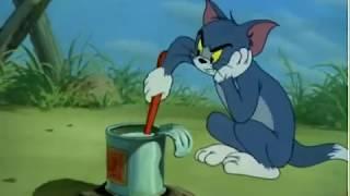 Tom And Jerry  Two Little Indians   Cartoons For Kids 