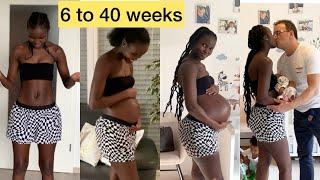 PREGNANCY  BELLY PROGRESSION 6 WEEKS TO 40 WEEKS.