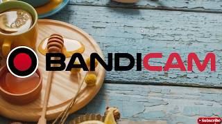 ГДЕ СКАЧАТЬ И КАК УСТАНОВИТЬ BANDICAM В 2020 ГОДУ? КАК КРЯКНУТЬ БАНДИКАМ