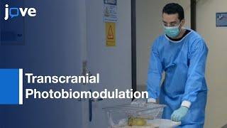 Transcranial Photobiomodulation Therapy Protocol  Protocol Preview