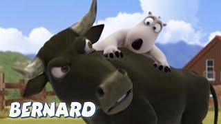 Bernard Bear  Bullfighter AND MORE  30 min Compilation  Cartoons for Children