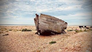 Dungeness Kent. Wildlife heaven & Photographers dream Absolutely amazing May 2022