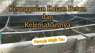 KELEBIHAN DAN KEKURANGAN KOLAM BETON