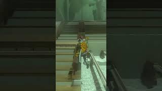 Pro Zelda Skills Ignore the audio