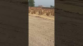 For Investment In Rice Mill Feel Free to Contact on Whatsapp 0301-4038025