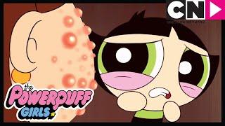 Powerpuff Girls  Powerpuff Girls Go To Big School  Cartoon Network