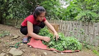 Single mother - Harvest wild vegetables from the pond banks and sell them at the market