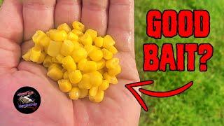 Corn is Cheap but How Good is it for Catfishing?