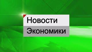 Экономика - Продолжится ли рост цен на бензин в Татарстане?