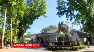 Wisata Loko Lori  RAGAM INDONESIA 130223