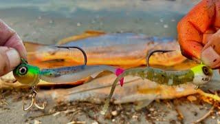 PESCA de ORILLA con CAMARÓN ARTIFICIAL y GOMAS  CURVINAS y ROBALO.