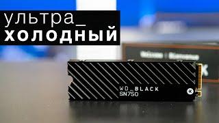 WD Black SN750 500GB. Прохладный и солидный NVMe SSD  Root Nation