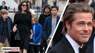 Brad Pitt Scores Legal WIN In Angelina Jolie Custody Battle