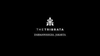 THE TRIBRATA - GREAT EXPECTATION