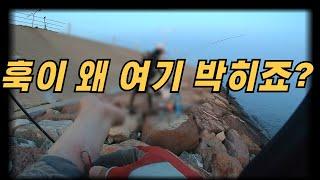 시화방조제에서 삼치 잡다 생긴 일 feat.어시스트 훅