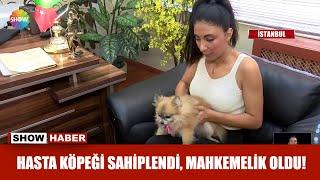 Hasta köpeği sahiplendi mahkemelik oldu