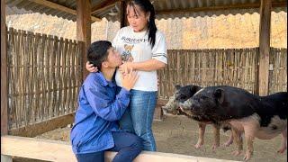 Building a firewood storage house-Picking bamboo shoots pickling for preservation Fertilizing rice