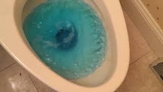 The 3 toilets in my house with blue water