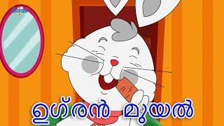 മുയൽ കഥ - Malayalam Stories  കഥകള് മലയാളം  കഥകള് മലയാളം  Malayalam Fairy Tales