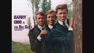 BEE GEES   THE BEE GEES SING AND PLAY 14 BARRY GIBB SONGS   1965