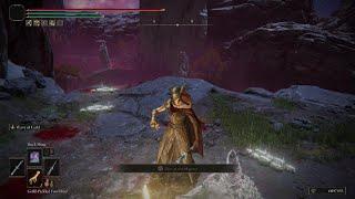 ELDEN RING efficient Mohgwyn Palace Albinauric rune farm read description