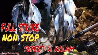 full strikeseperti di kolammancing ikan tembayangantiga jari mancing pinggiran @HobiKayalfishing