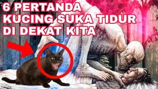 JIKA TAU INI SEMUA PASTI PELIHARA KUCING_INILAH 6 PERTANDA KUCING SUKA TIDUR DI DEKAT KITA