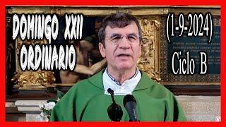  HOMILÍA Domingo XXII del Tiempo Ordinario. Ciclo B. Eres lo que amas. 1-9-2024 