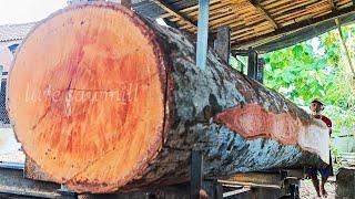 The process of splitting giant durian wood almost 5 meters long into planks thick