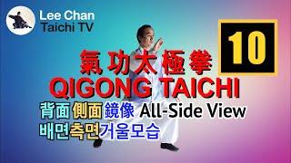 【Qigong Taichi】 FollowingAll-Side View 【氣功太極拳】請跟着做背面側面鏡像 【기공타이치】 따라하기배면 측면 거울모습