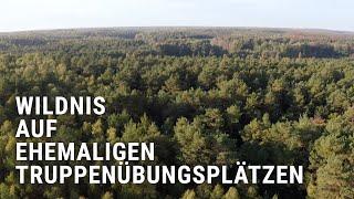 Lieberoser Heide - Naturschutz auf dem größten ehemaligen Truppenübungsplatz Ostdeutschlands