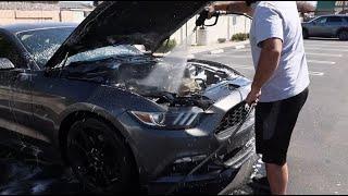 MUSTANG CLEANING DAY Chameron Vlog