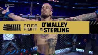 #UFC299 Pelea Gratis OMalley vs Sterling