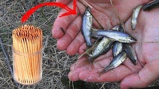 How to make a fish trap from toothpicks and a plastic bottle