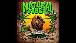 Turbulence - You Are Mine OFFICIAL AUDIO Natural Vibes Riddim 2024 New Reggae January 2024