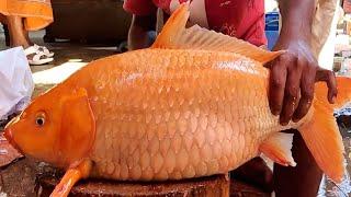 Never Seen Big Carp Fish Cutting Live In Fish Market  Fish Cutting Skills