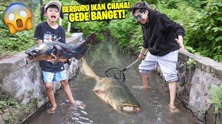 AKHIRNYA BERBURU IKAN CHANA BESAR DI KALI YANG VIRAL DAPET BANYAK TANGKEP SEMUA SAMPAI KOSONG