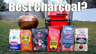 Charcoal Showdown High-End vs Budget Brands