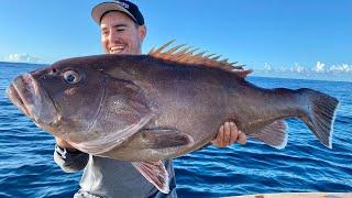 What a beast Deep sea fishing Catch & Clean